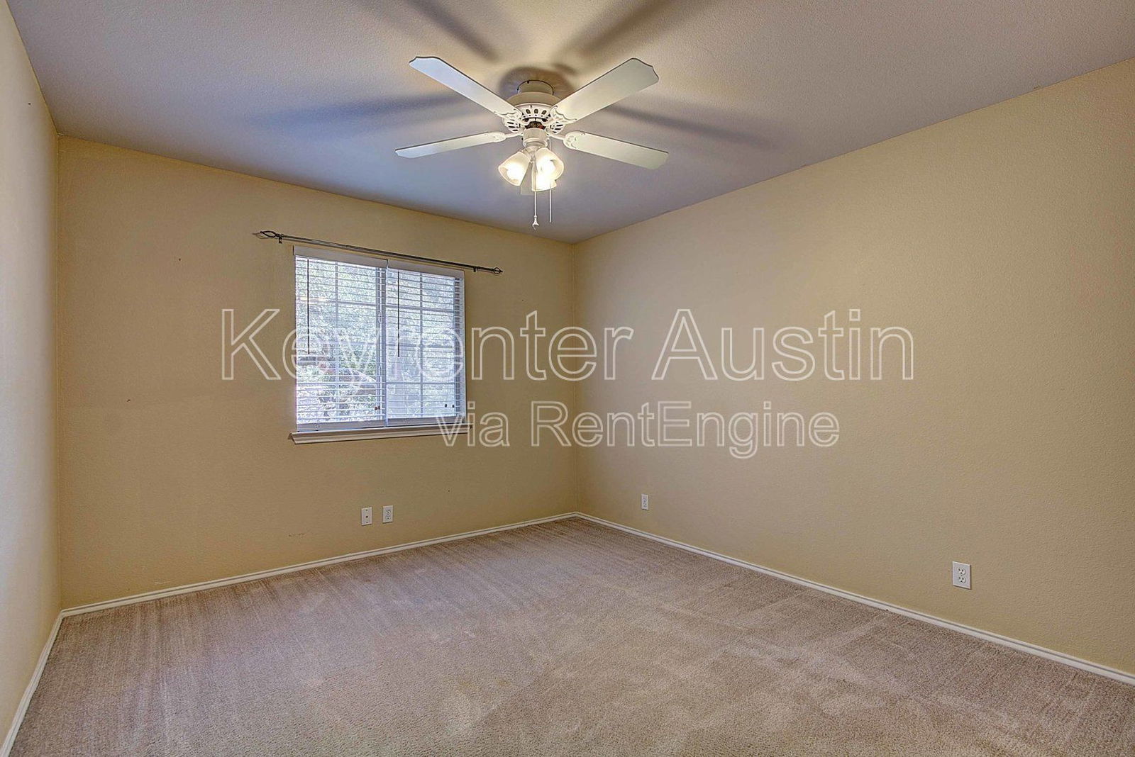 Gallery Image 18