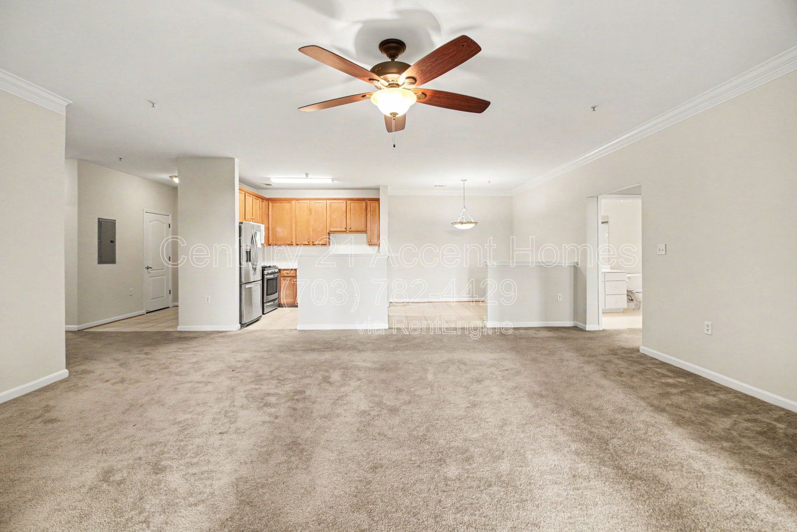Gallery Image 7