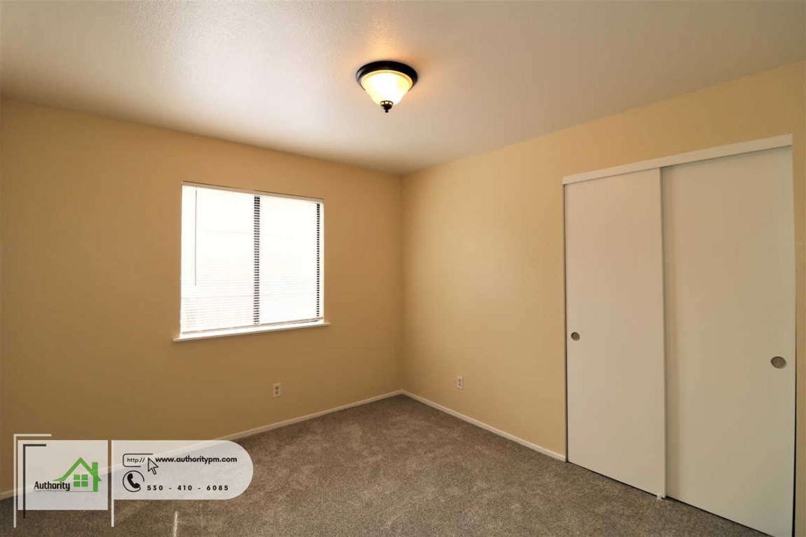 Gallery Image 20