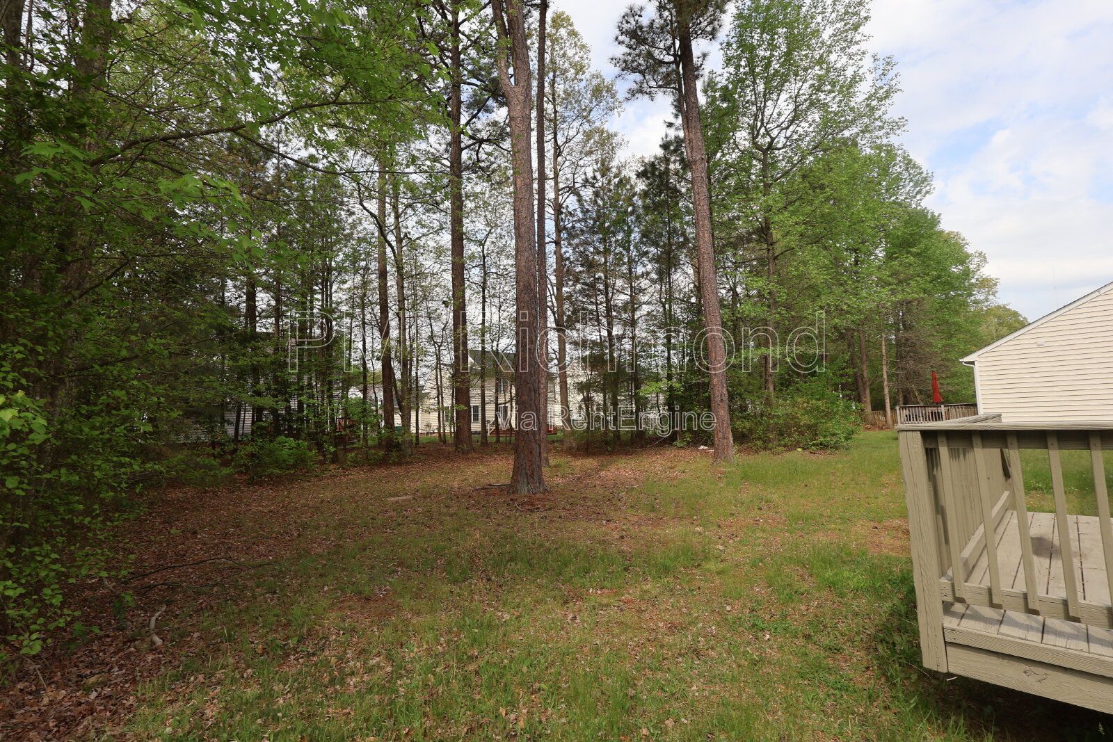 Gallery Image 17