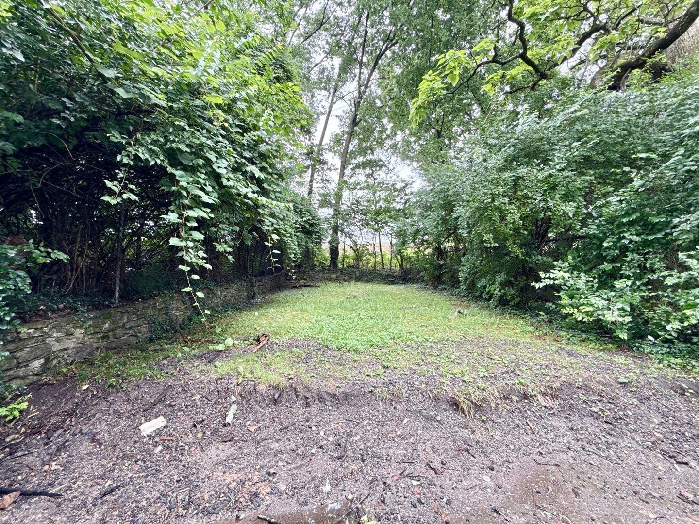 Gallery Image 20