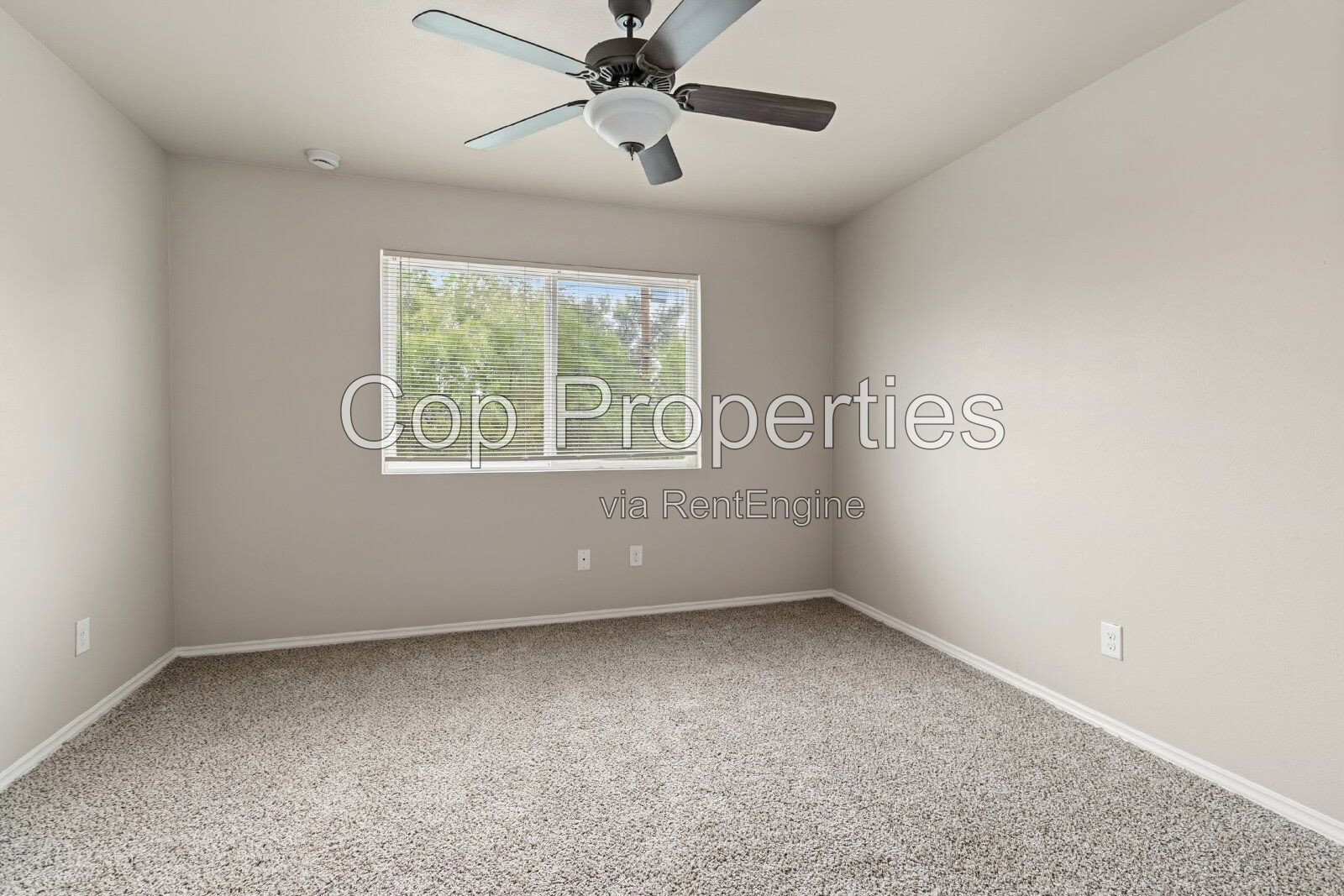 Gallery Image 20