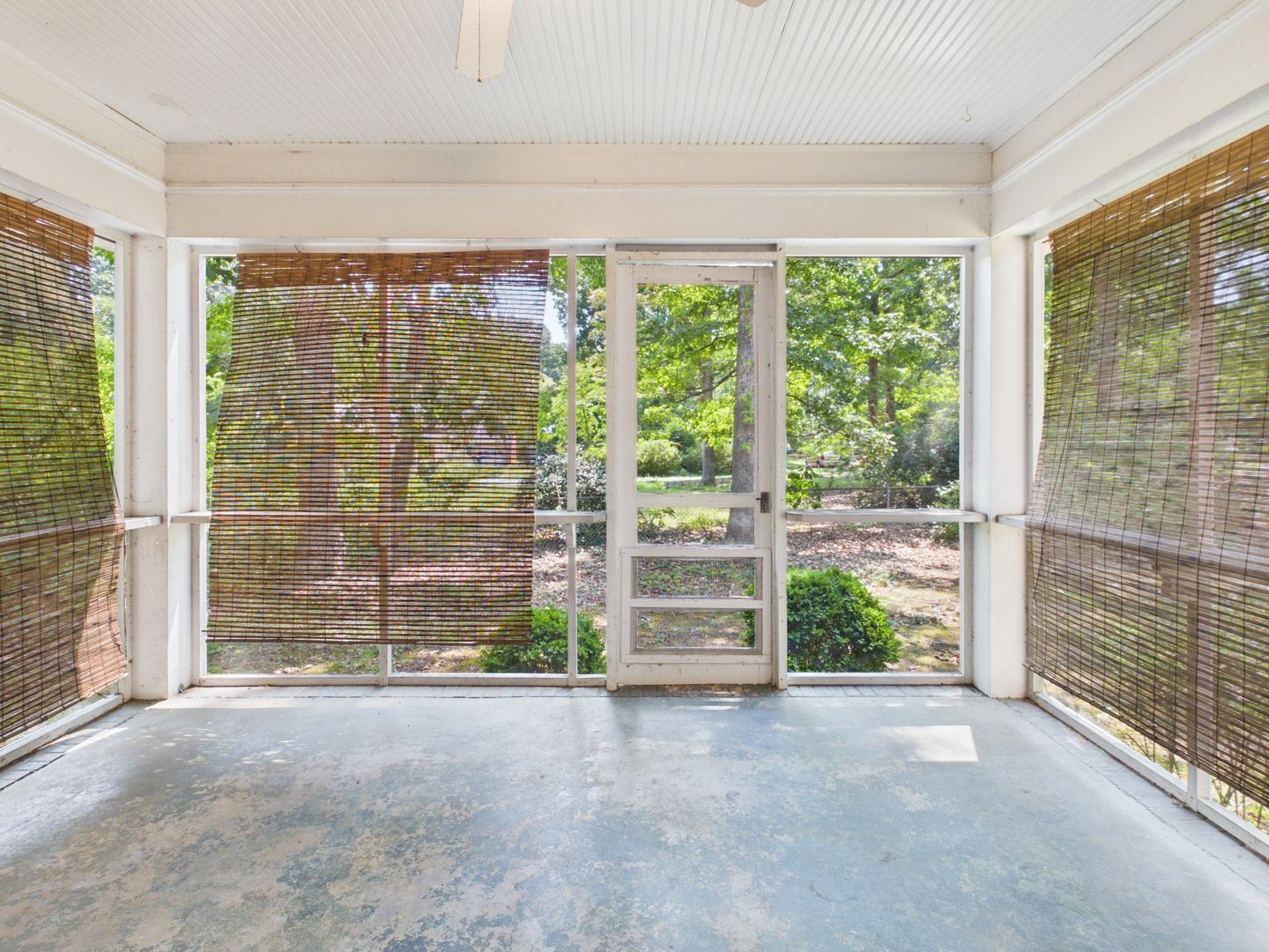 Gallery Image 8