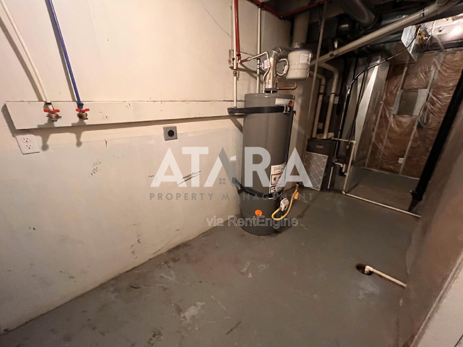 Gallery Image 21