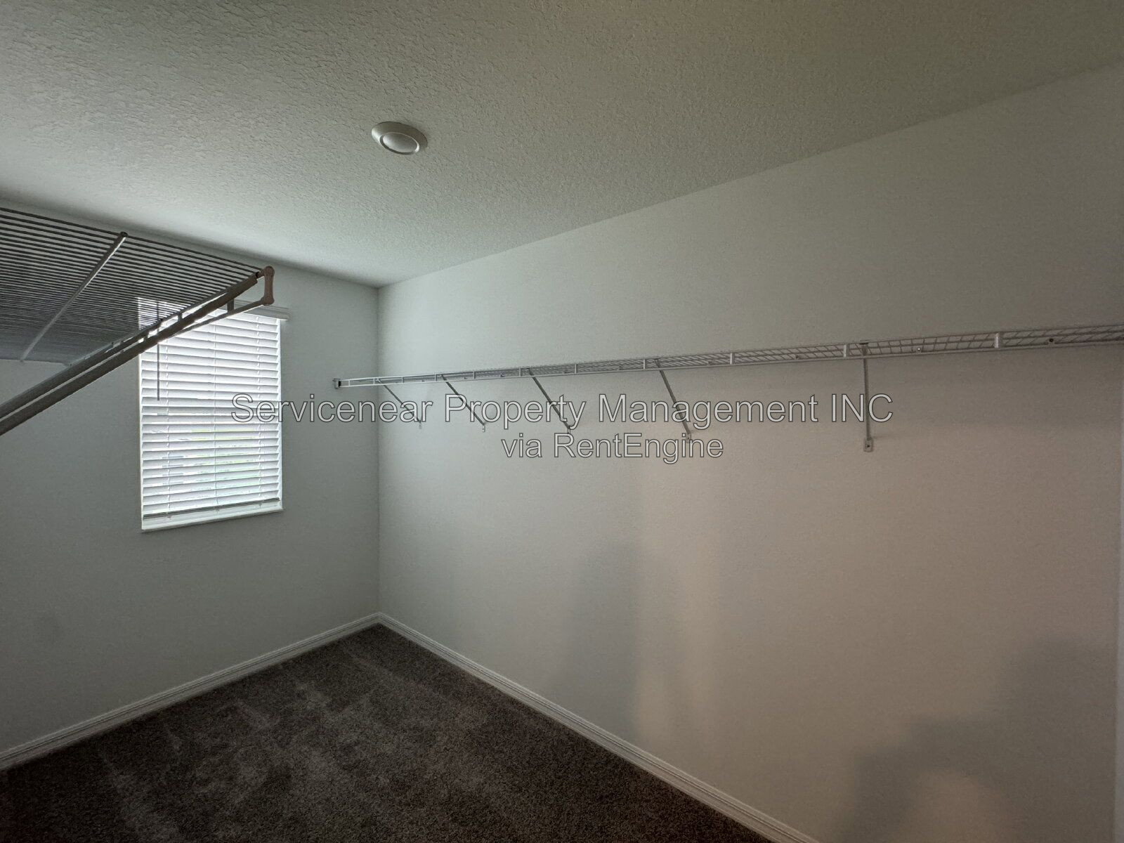 Gallery Image 19