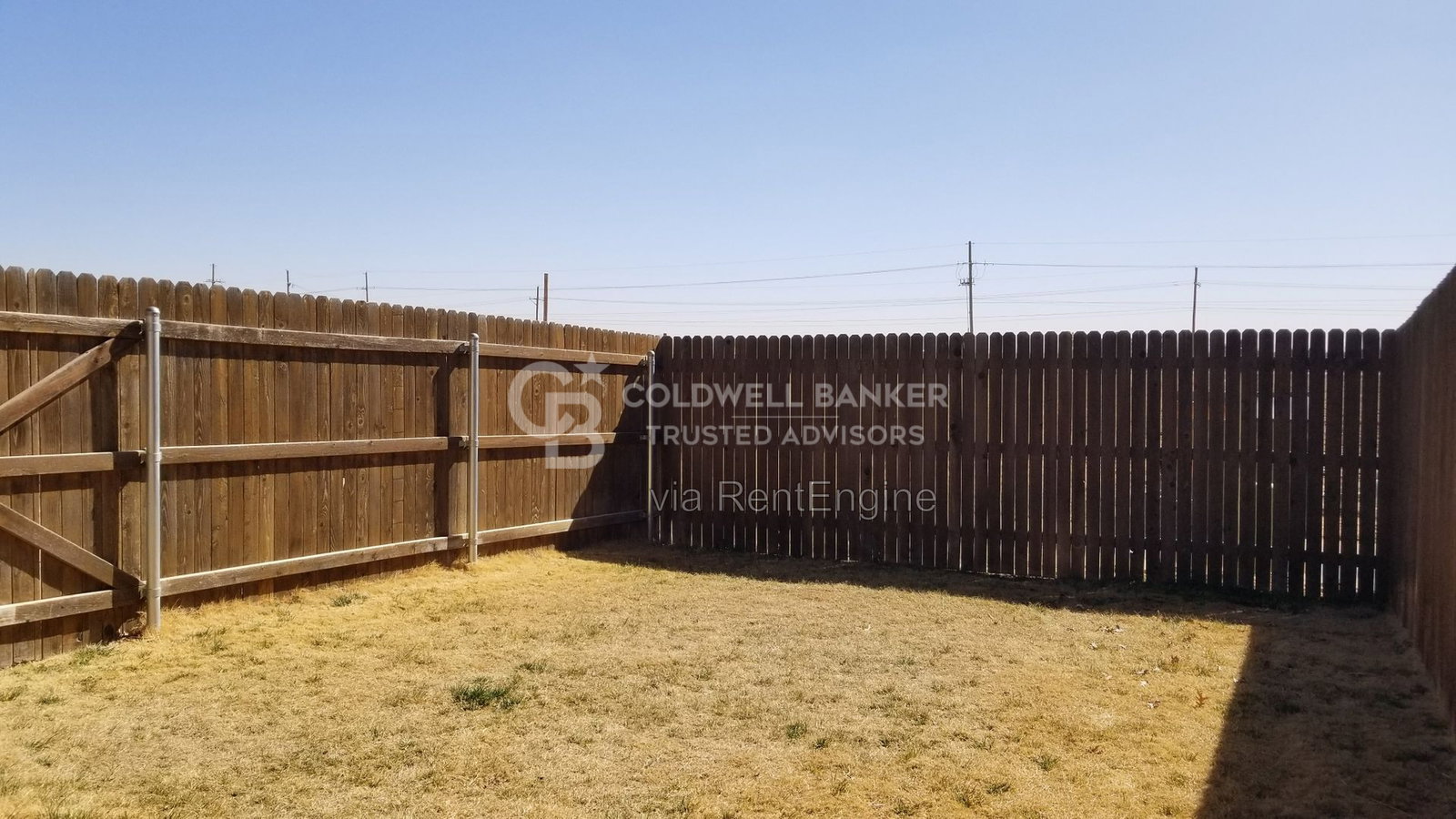 Gallery Image 14