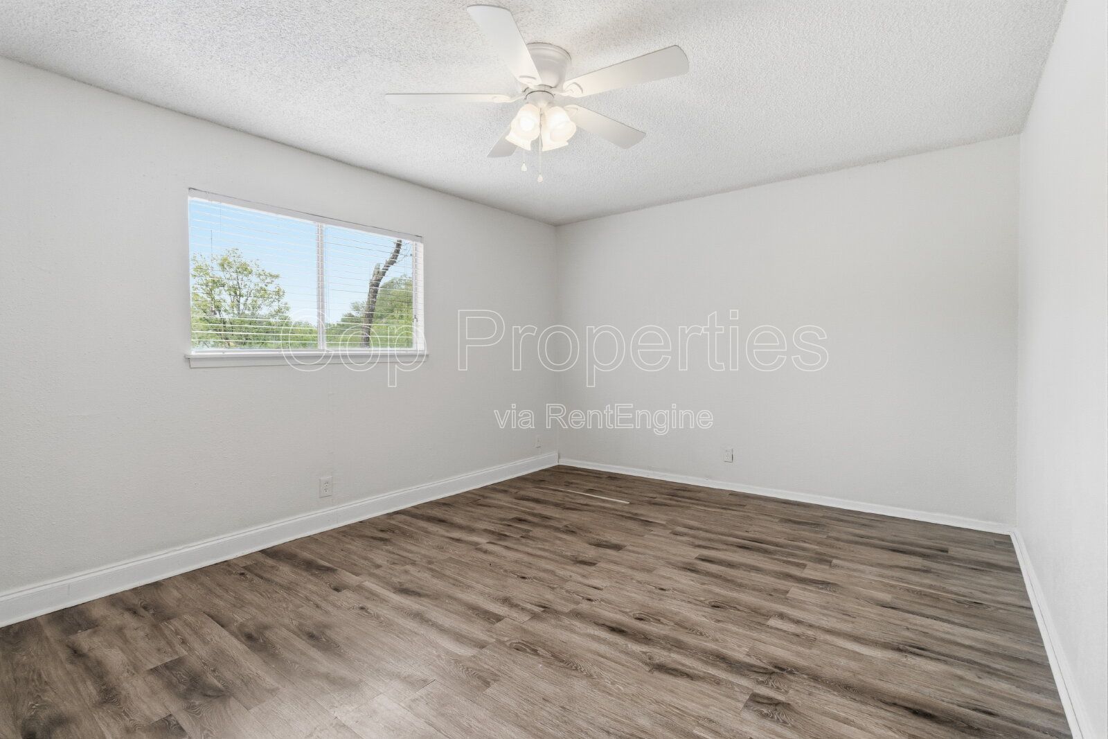 Gallery Image 18