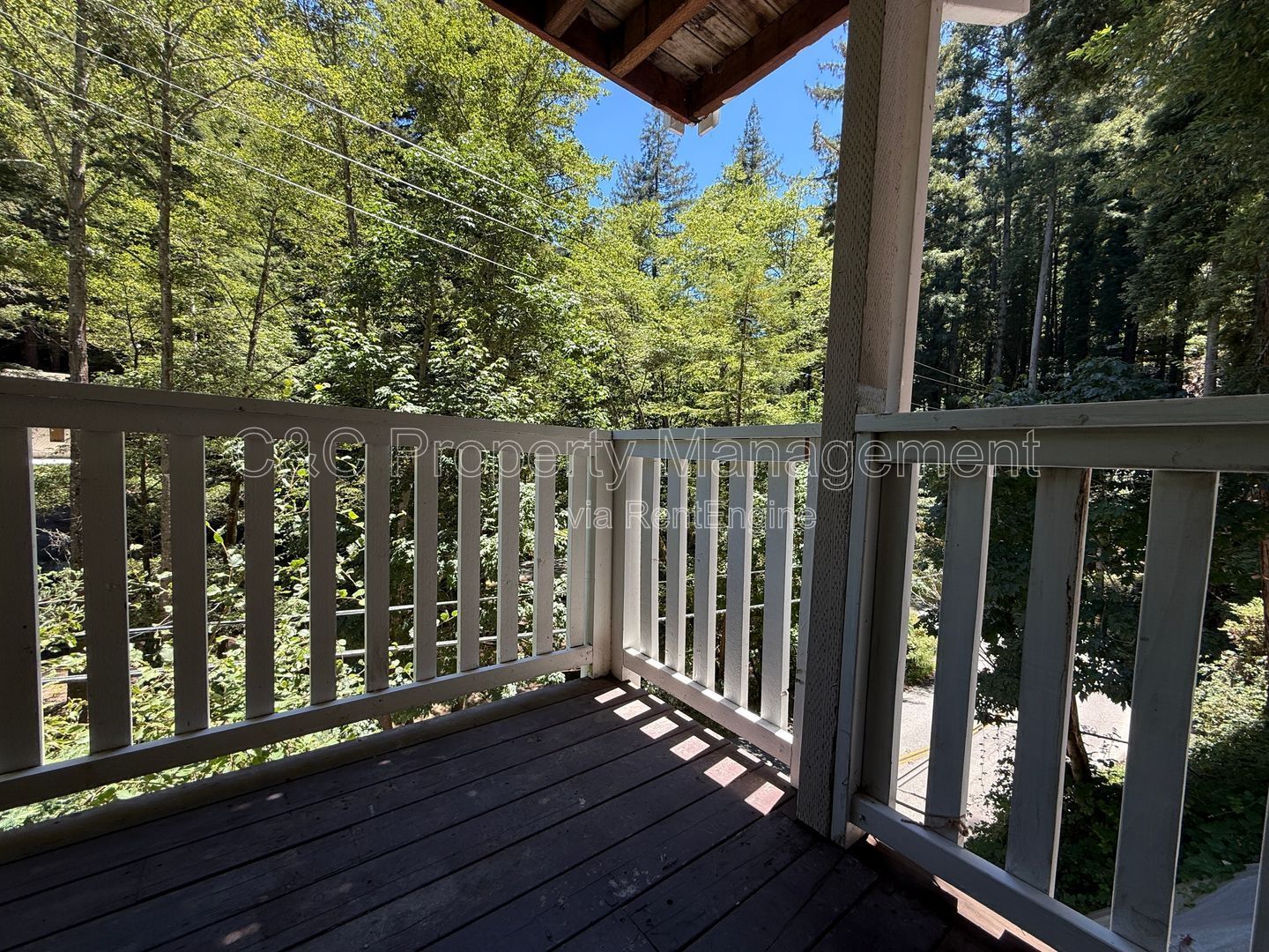 Gallery Image 11