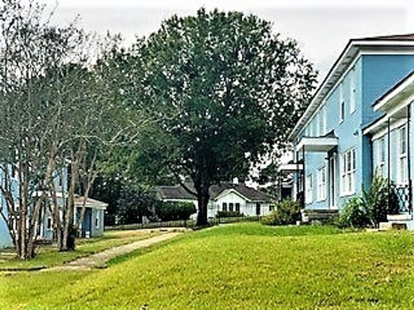 Gallery Image 8