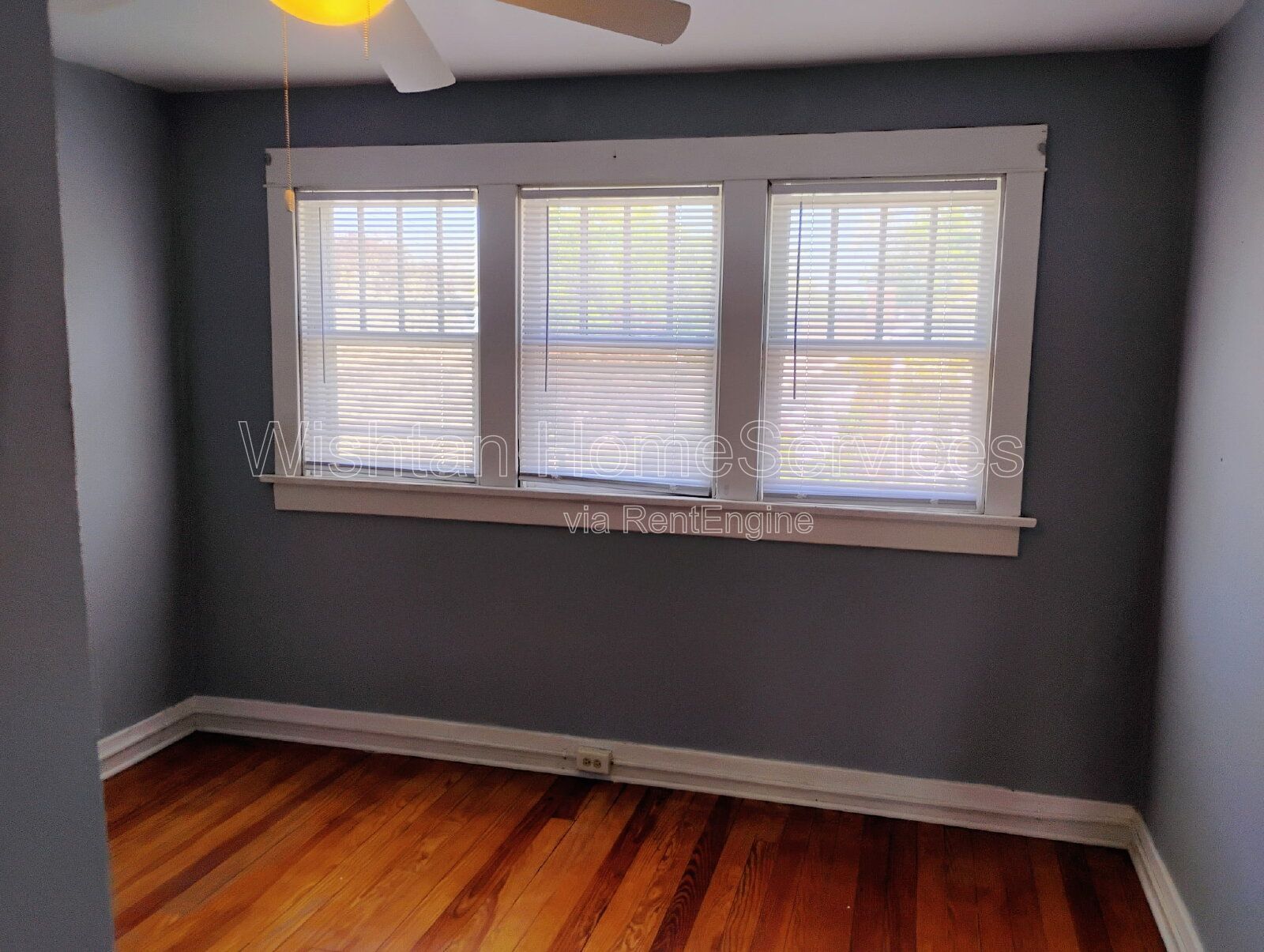 Gallery Image 0