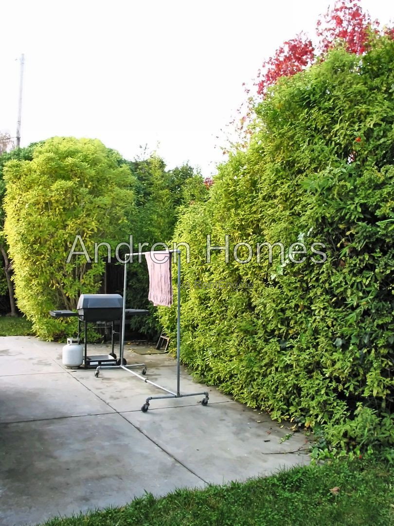 Gallery Image 16