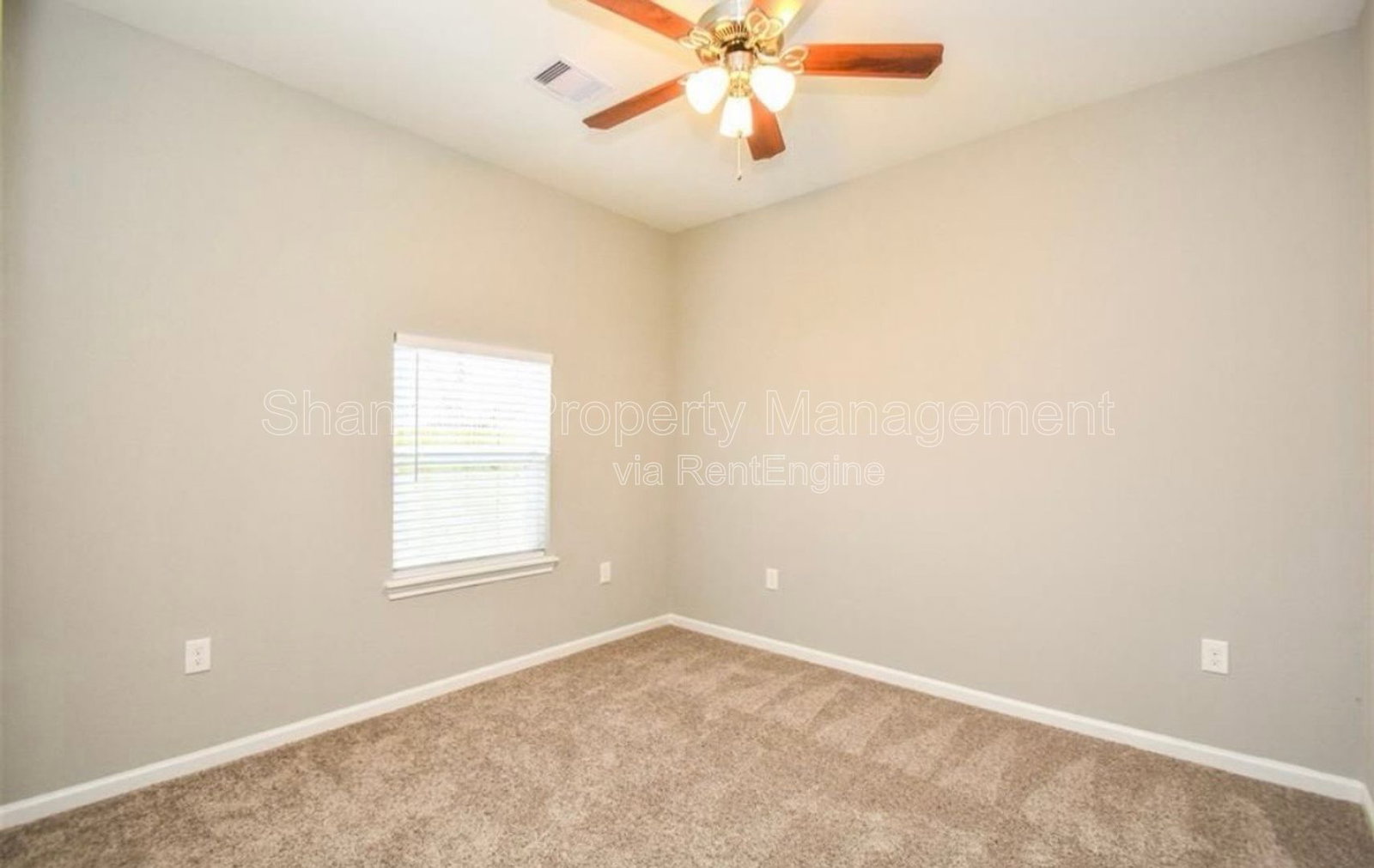 Gallery Image 19