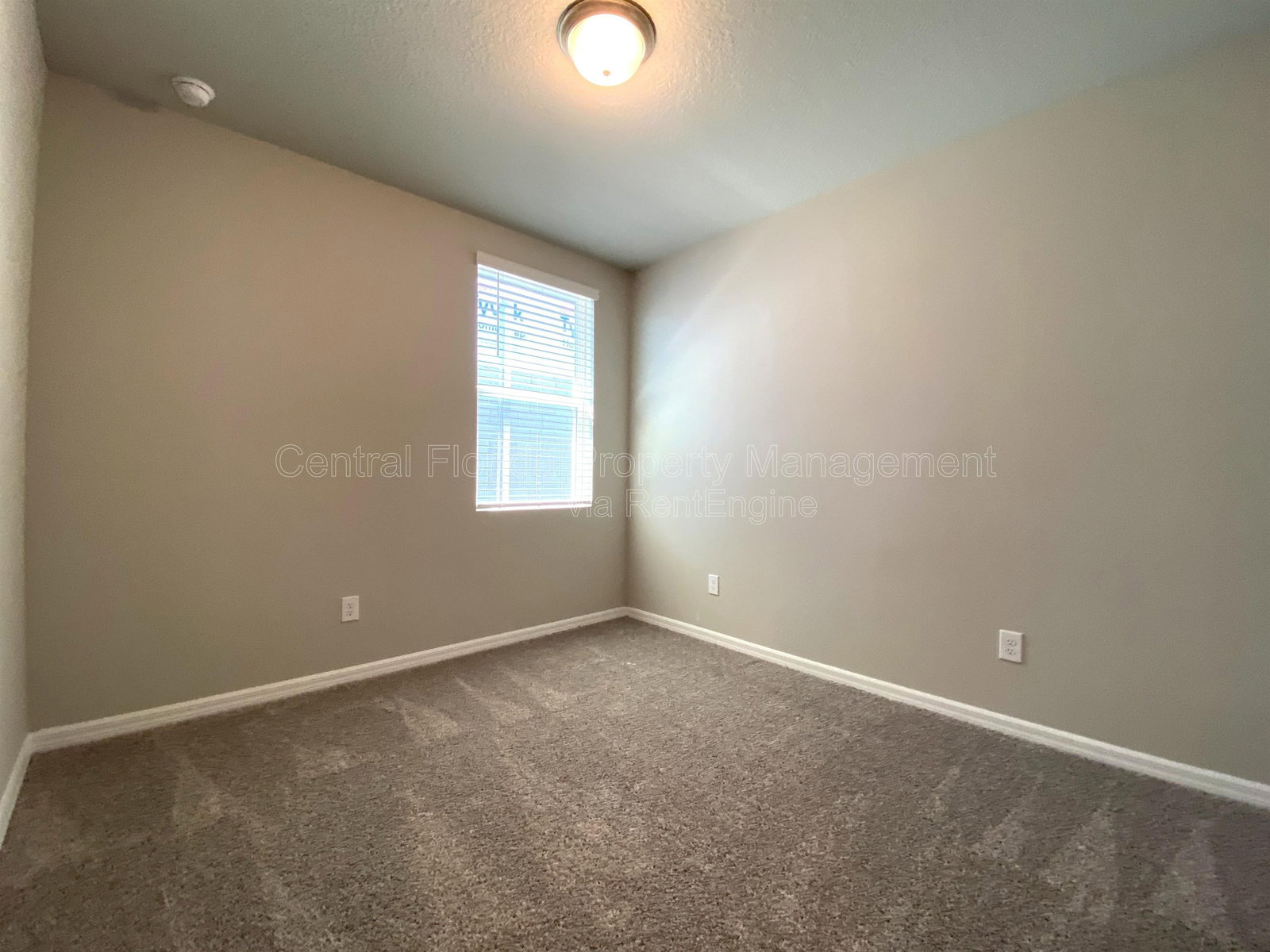Gallery Image 19