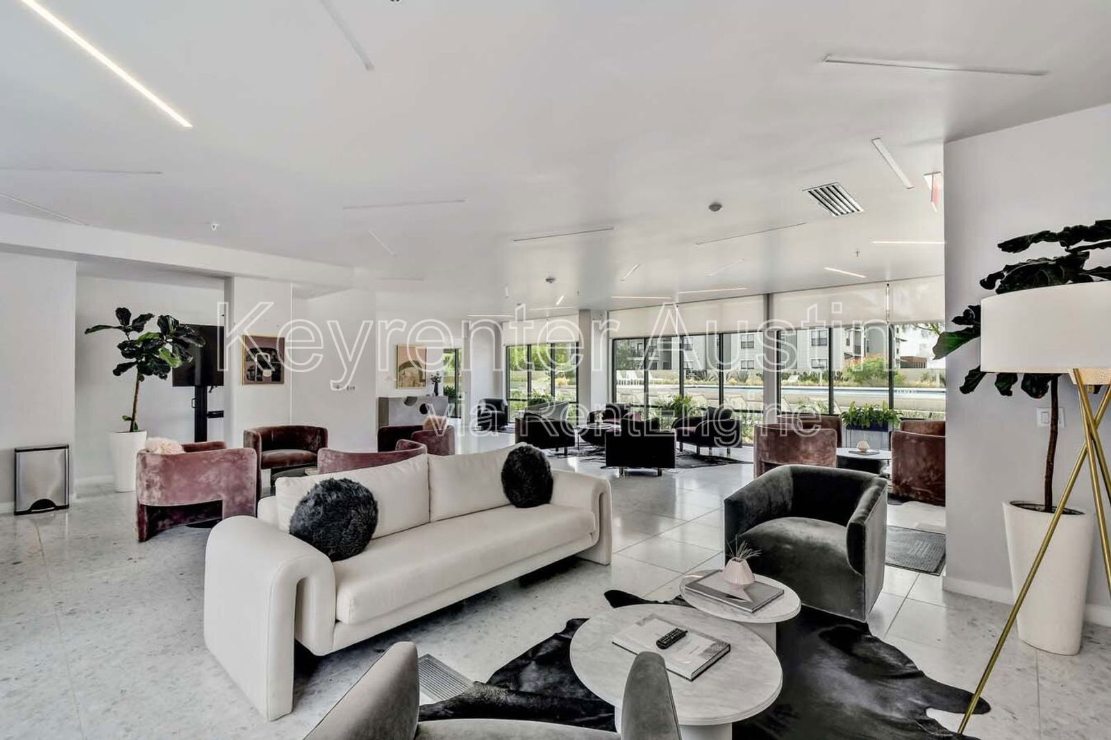 Gallery Image 0