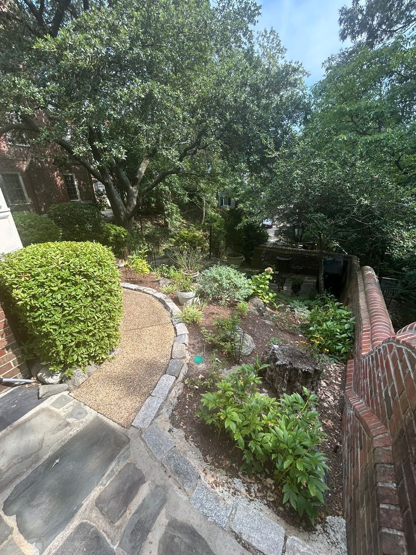 Gallery Image 15