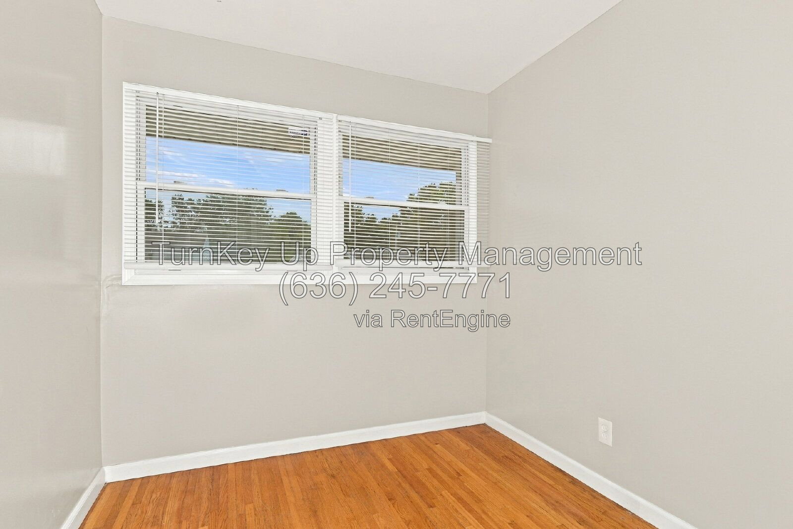 Gallery Image 8