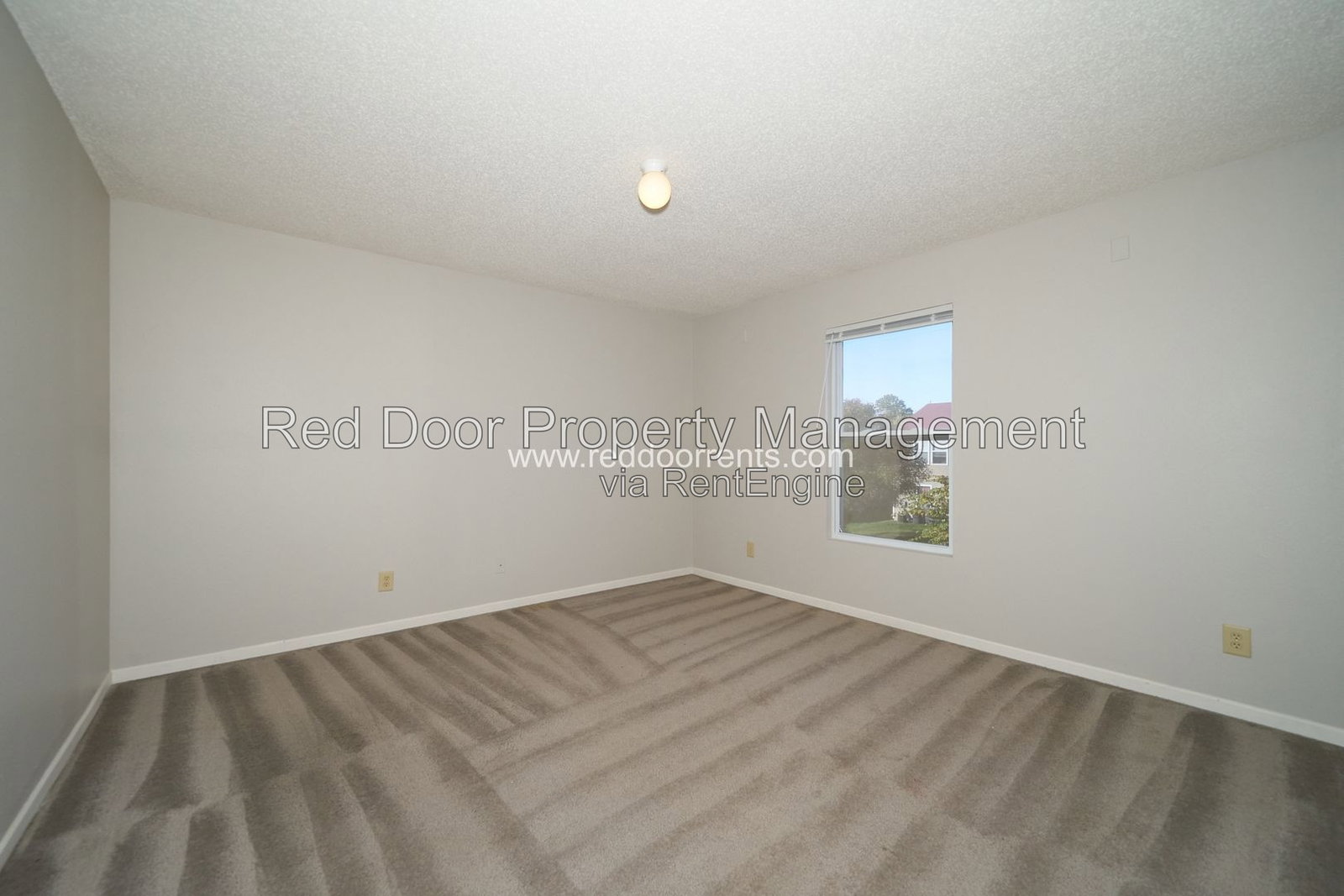 Gallery Image 28