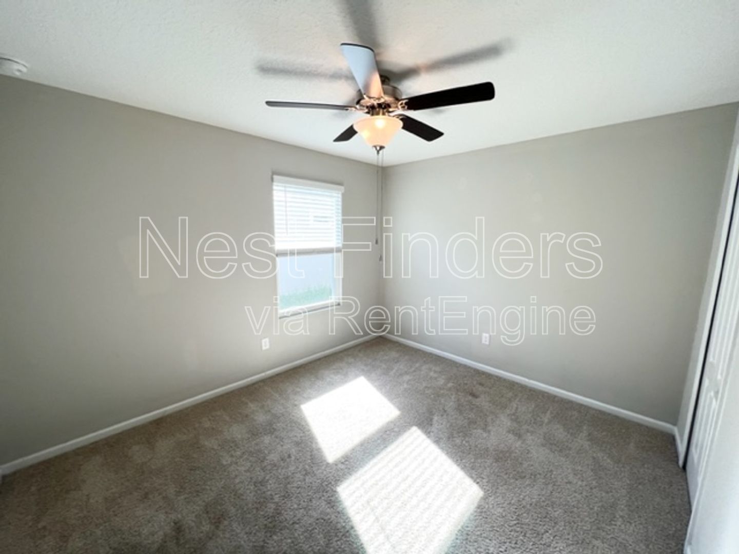 Gallery Image 20