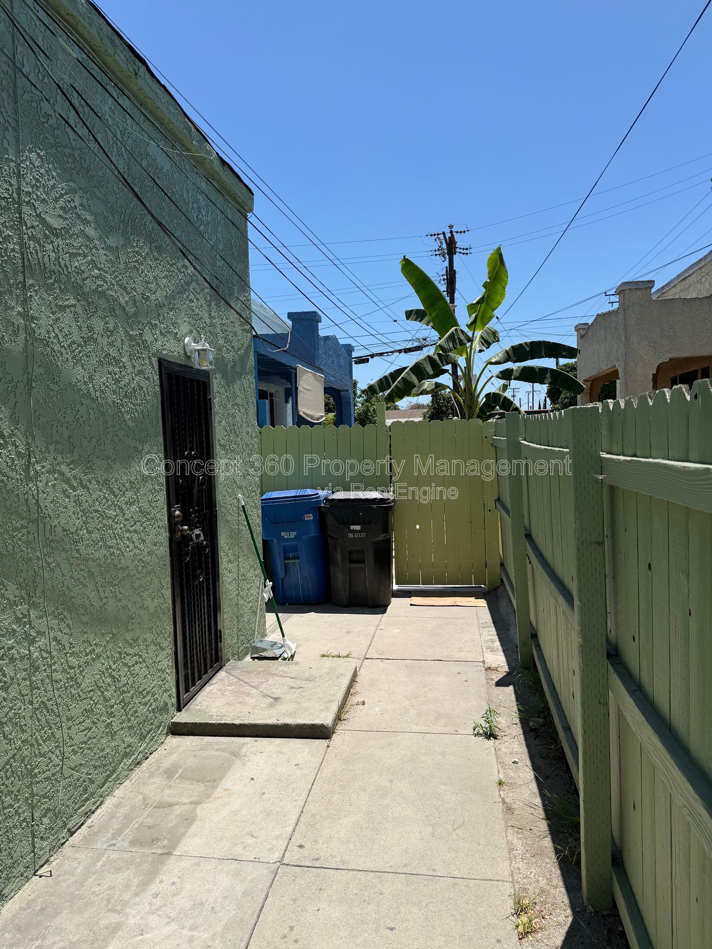 Gallery Image 41