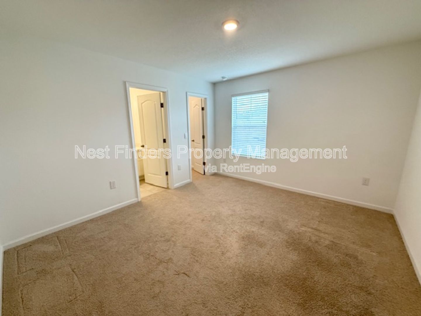 Gallery Image 19