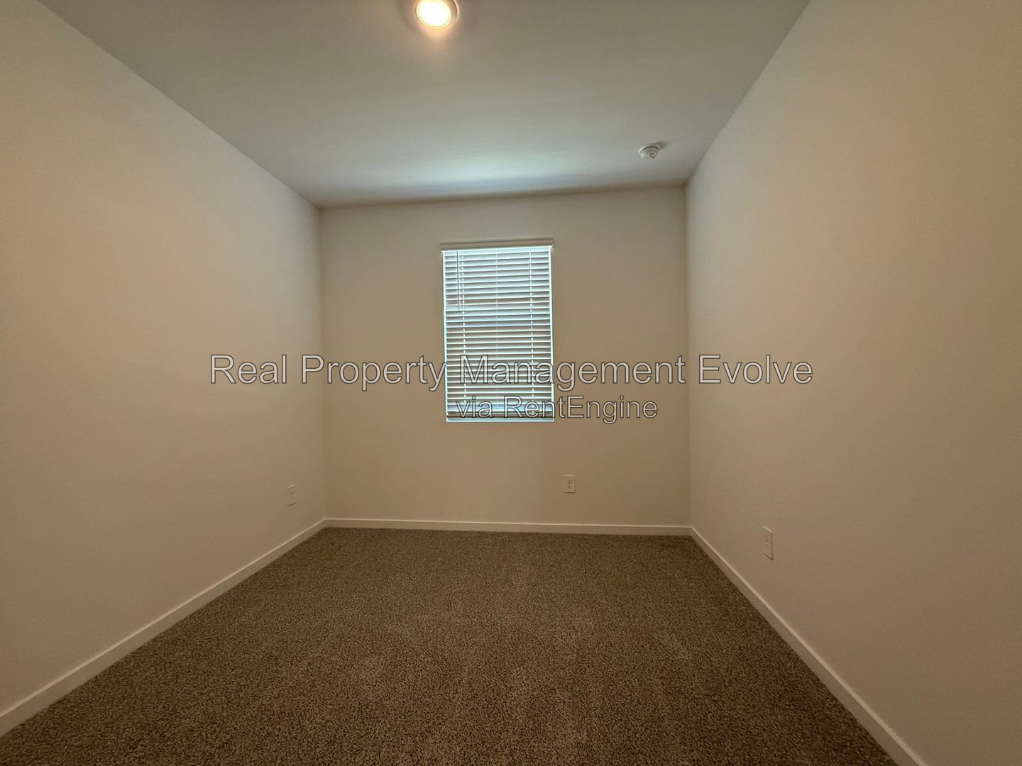Gallery Image 19