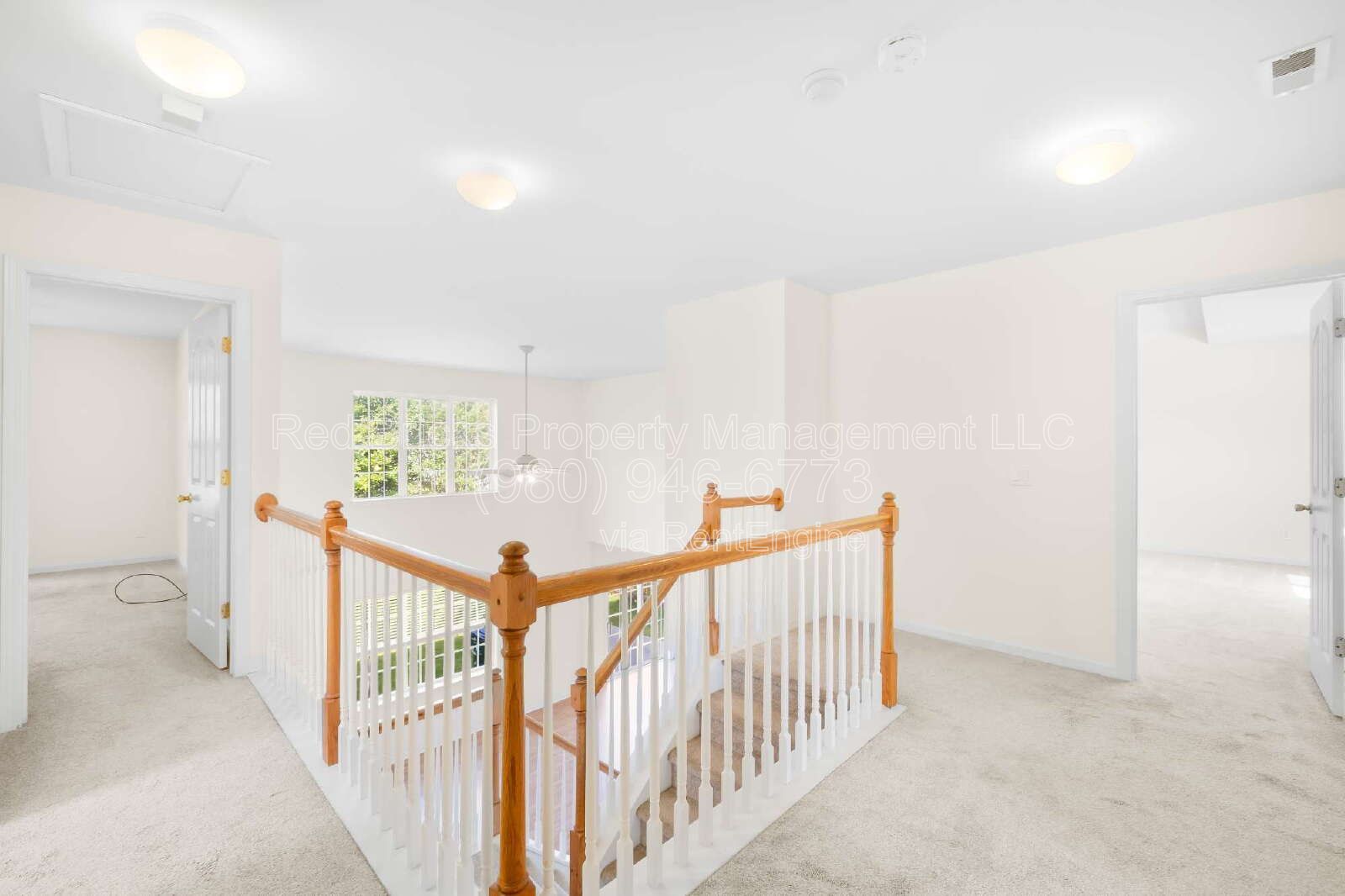 Gallery Image 20