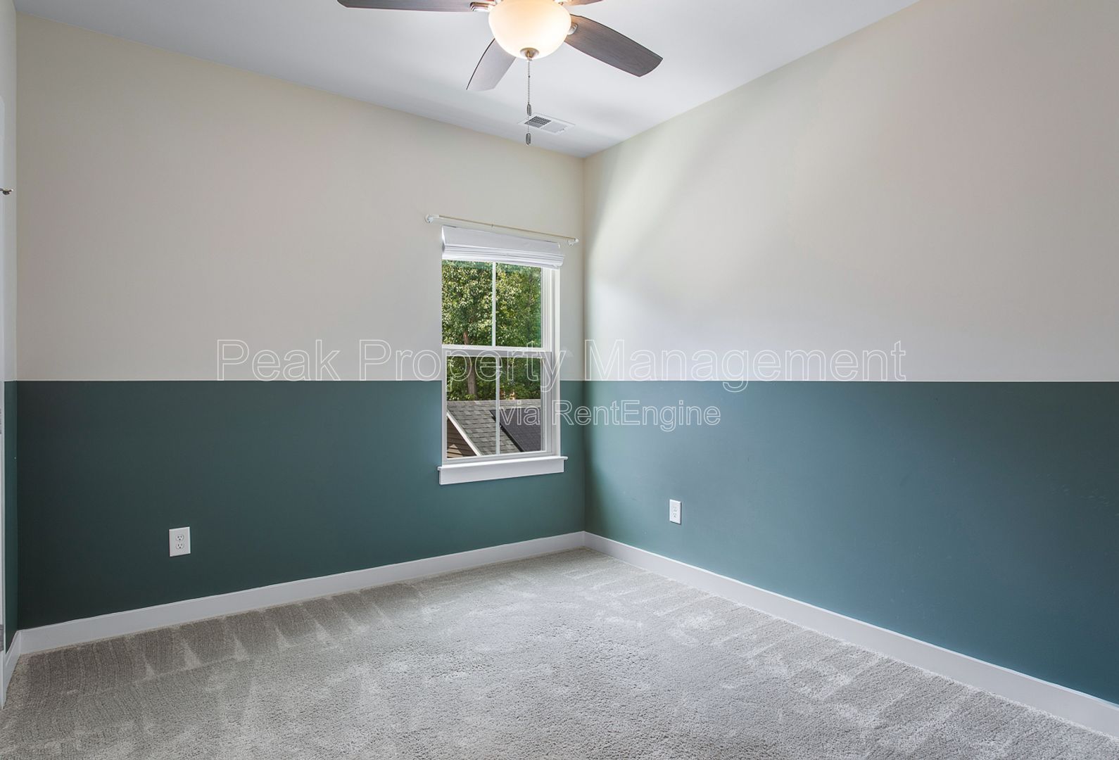 Gallery Image 18
