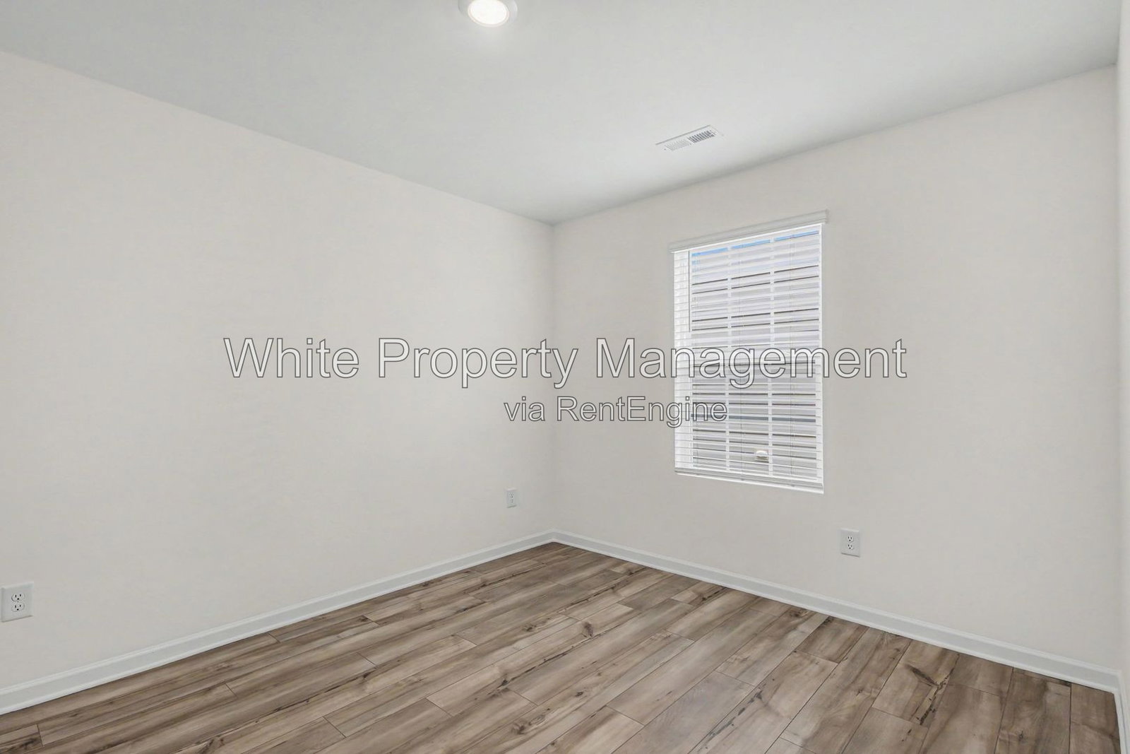 Gallery Image 19