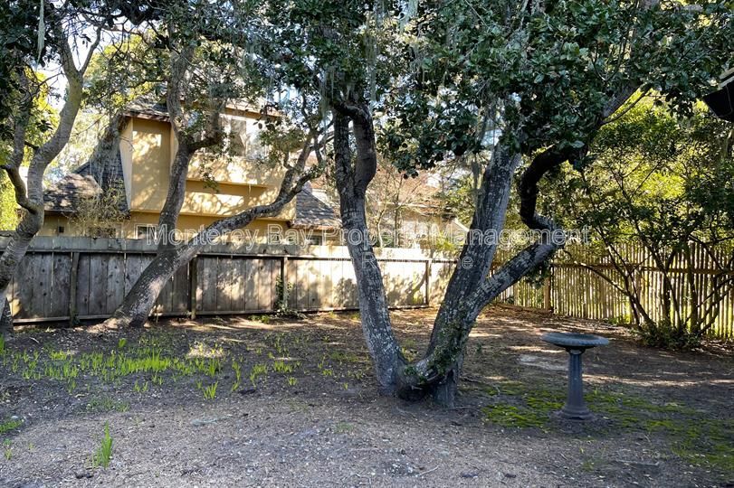 Gallery Image 18