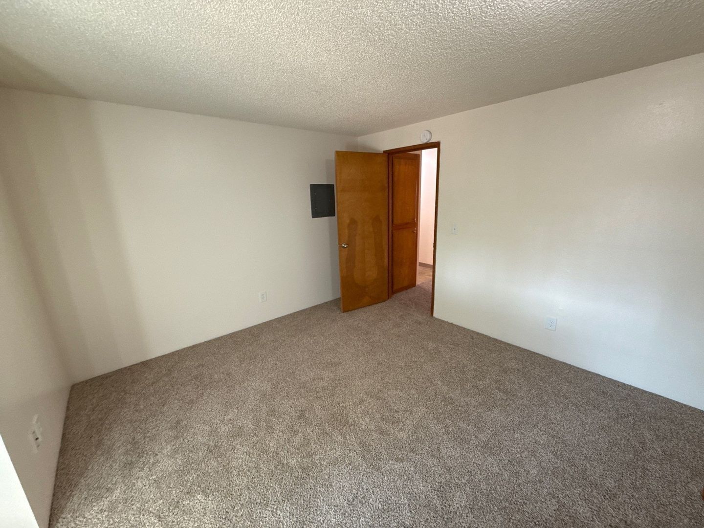 Gallery Image 19