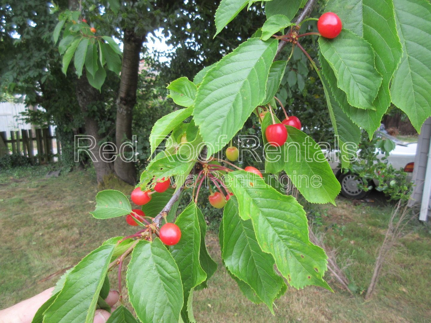 Gallery Image 22