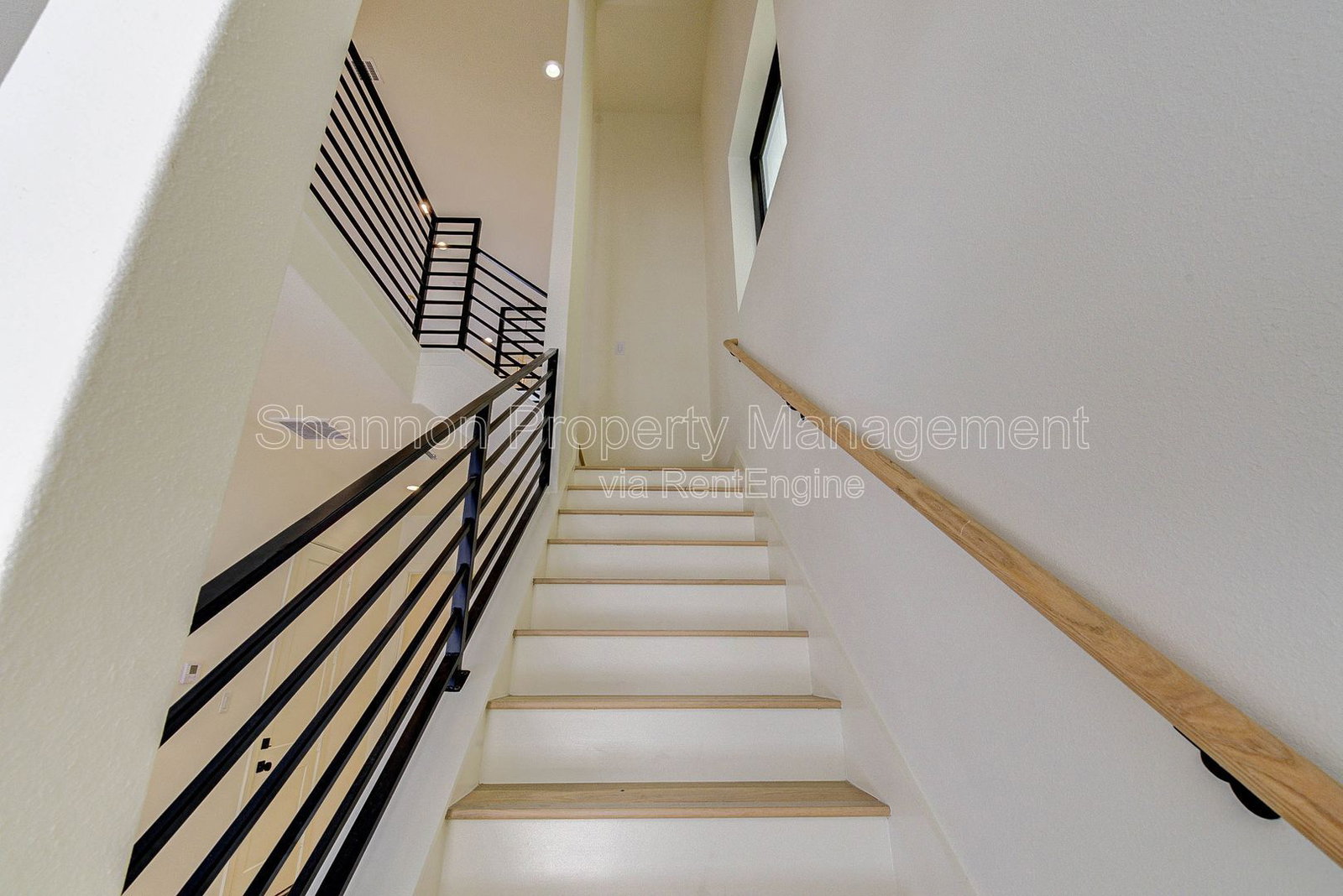 Gallery Image 19