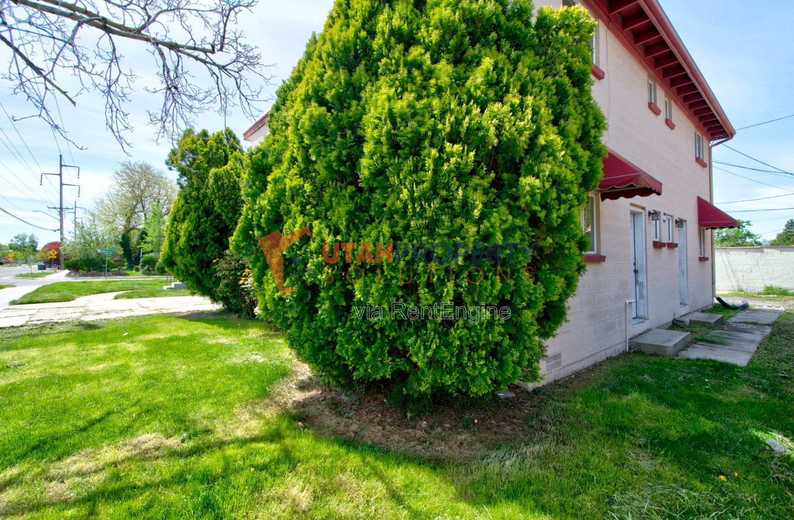 Gallery Image 12