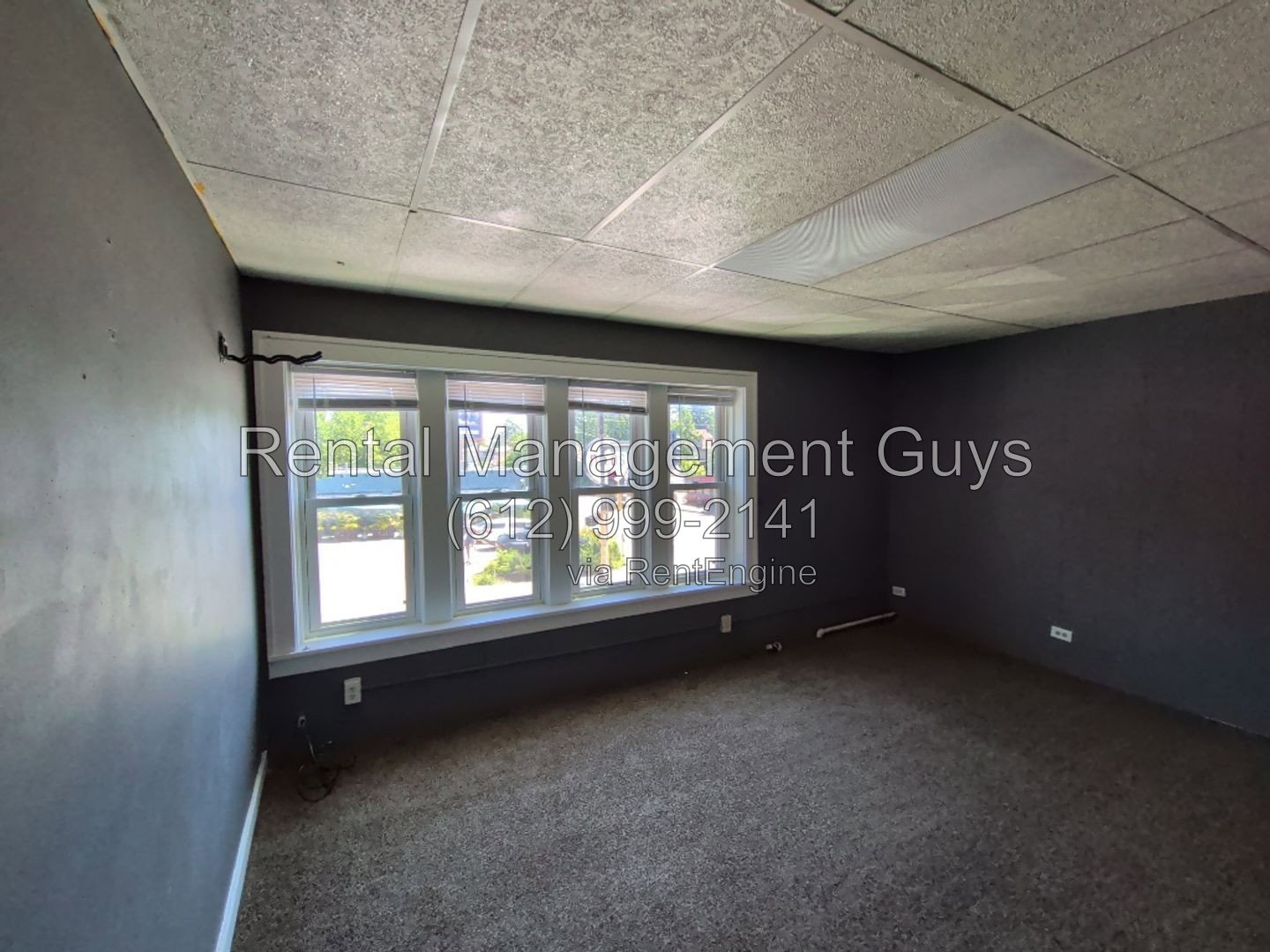 Gallery Image 0