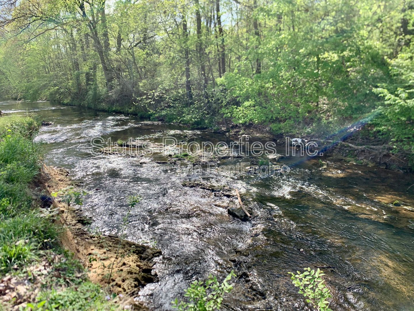 Gallery Image 11