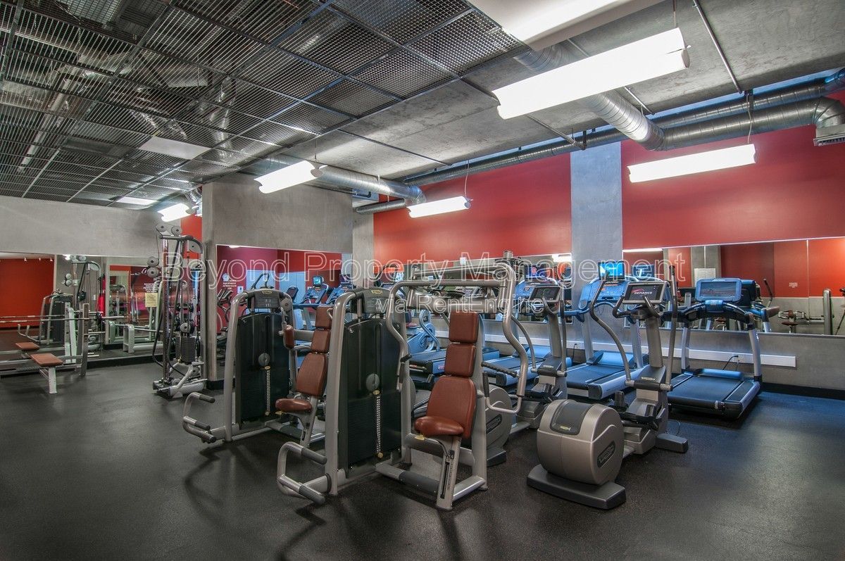 Gallery Image 19