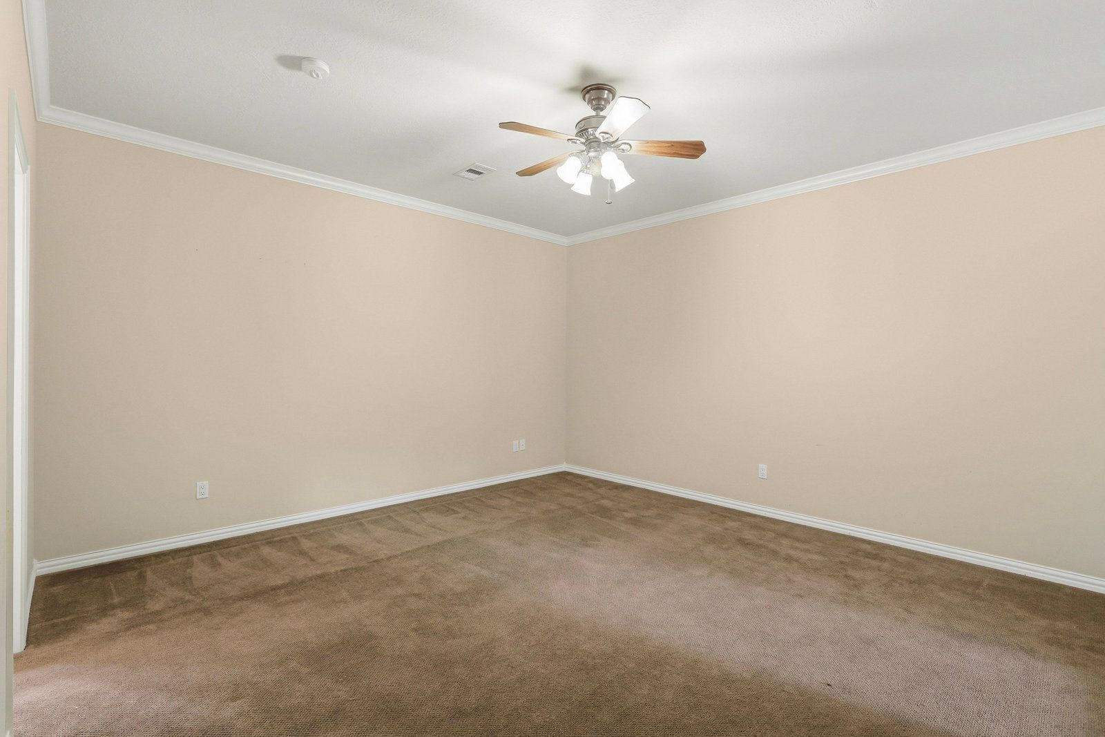Gallery Image 20