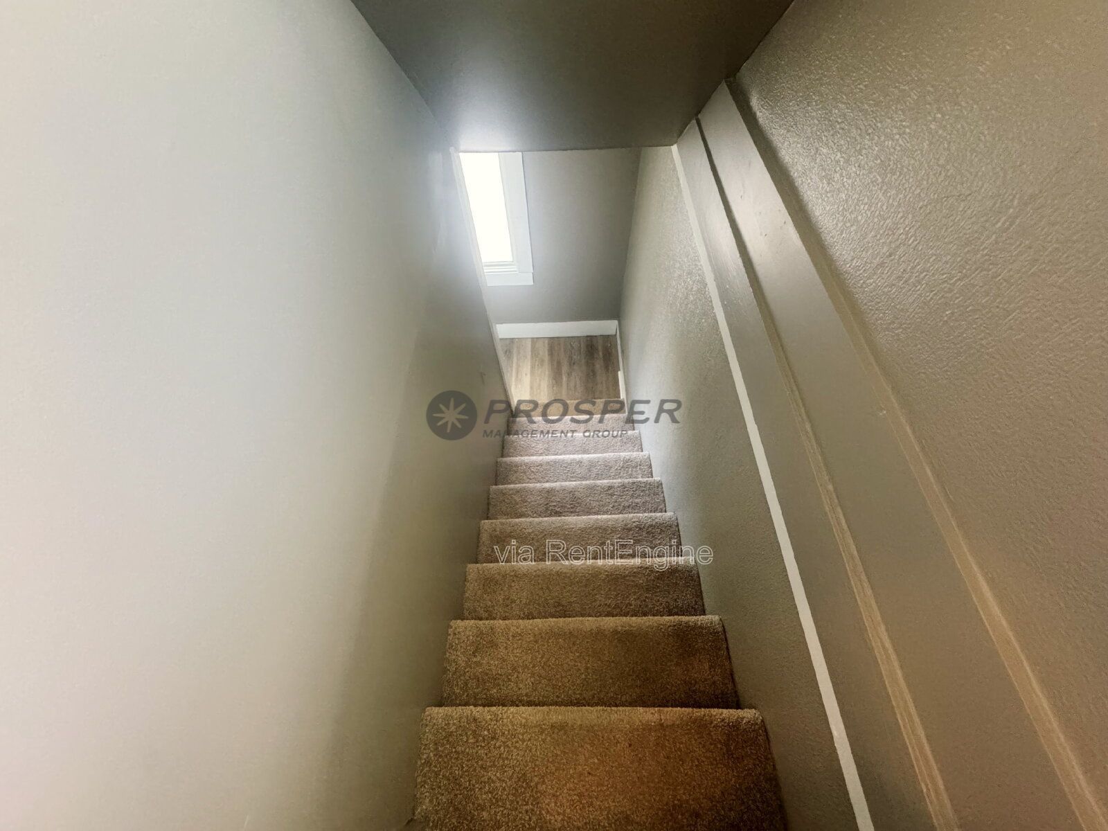 Gallery Image 18