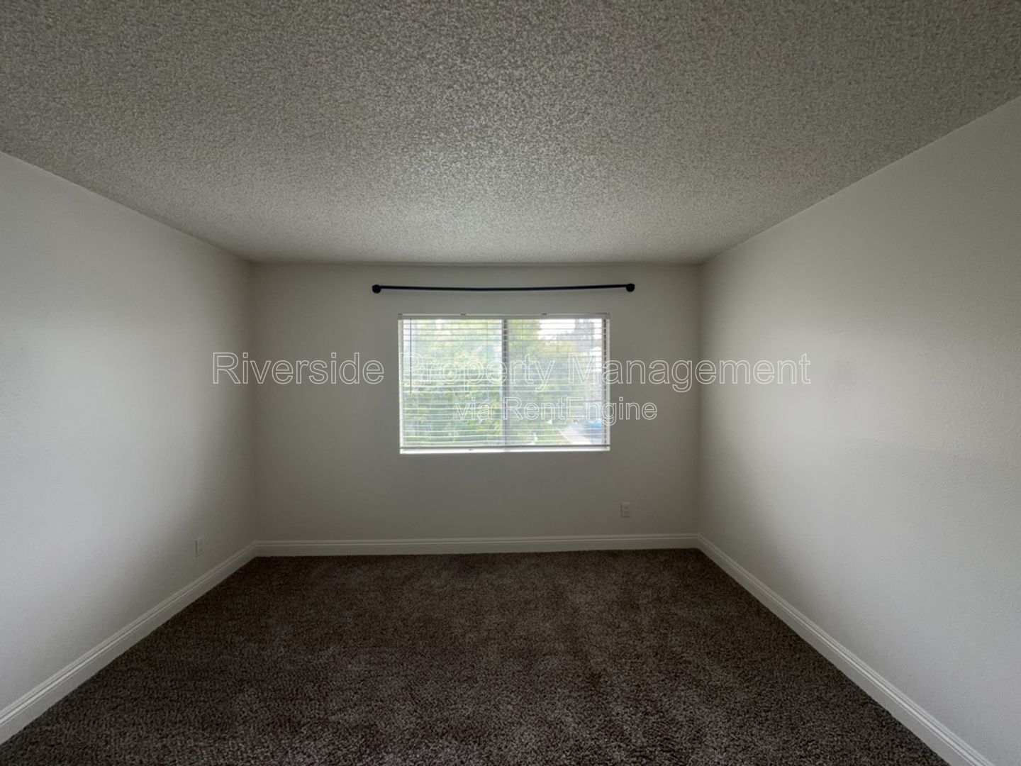 Gallery Image 19