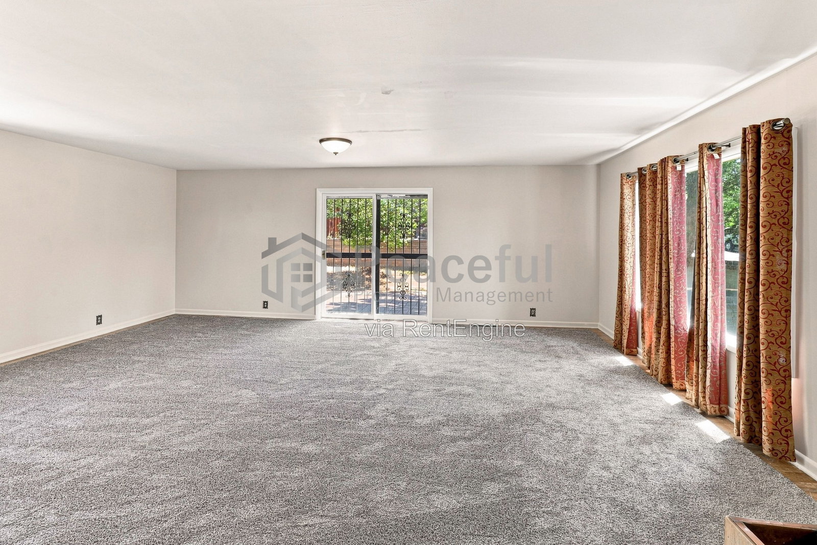 Gallery Image 19