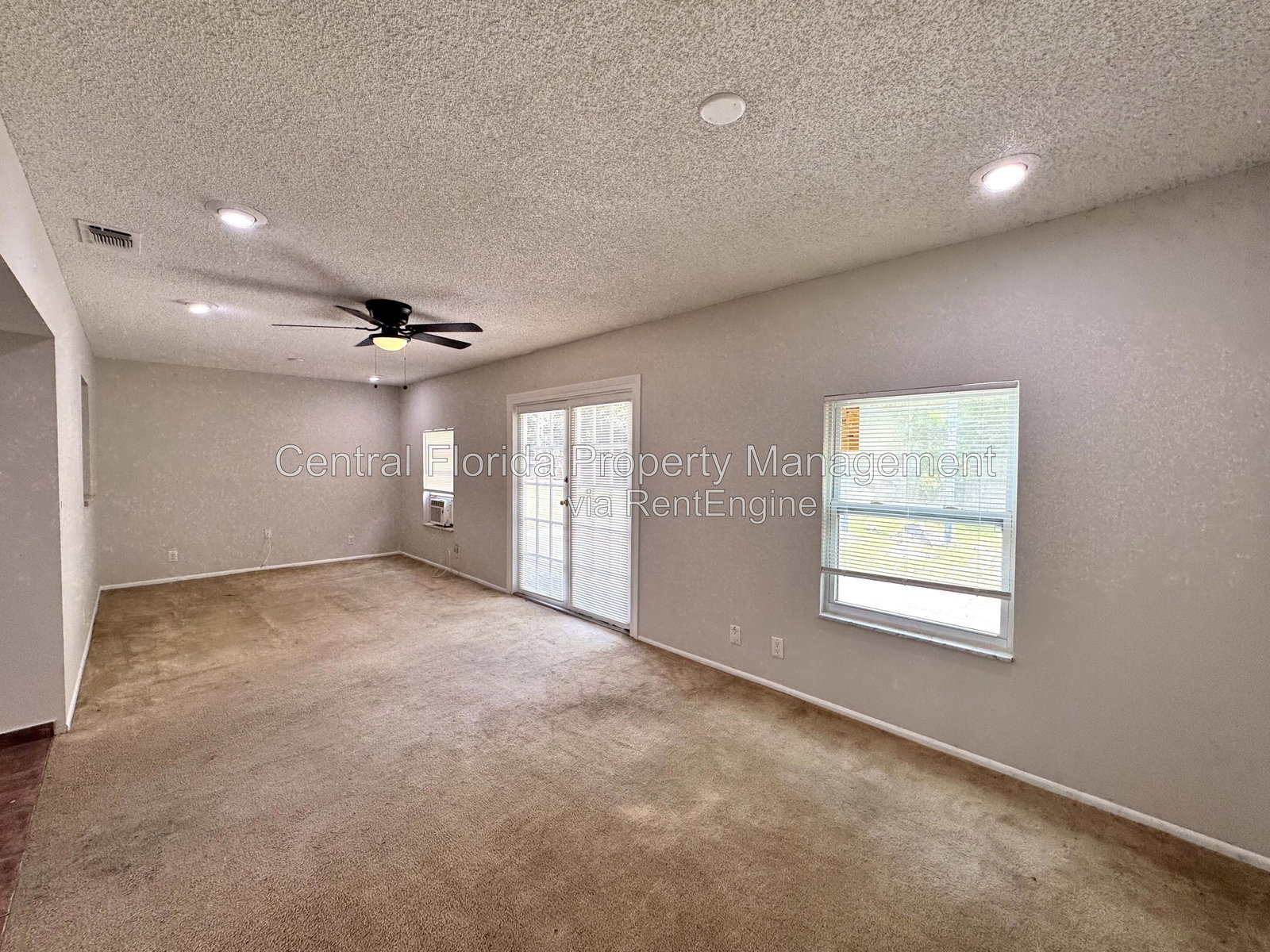 Gallery Image 19