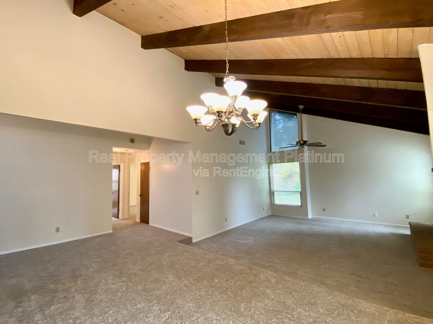 Gallery Image 21