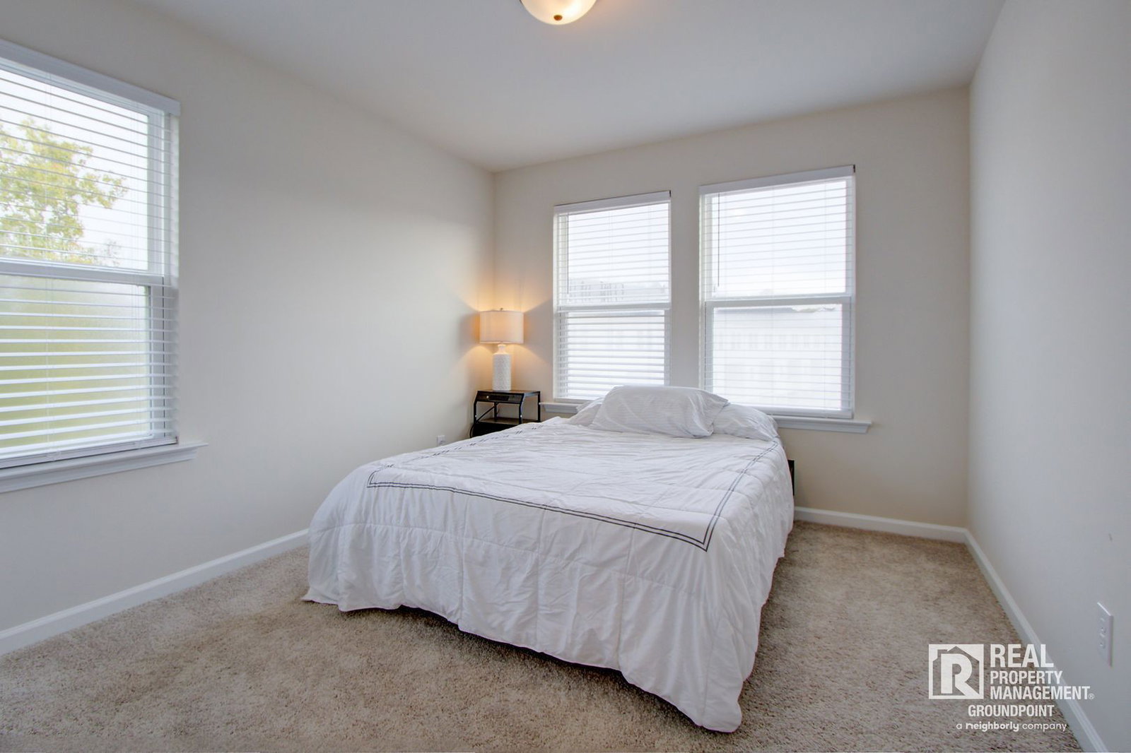 Gallery Image 31