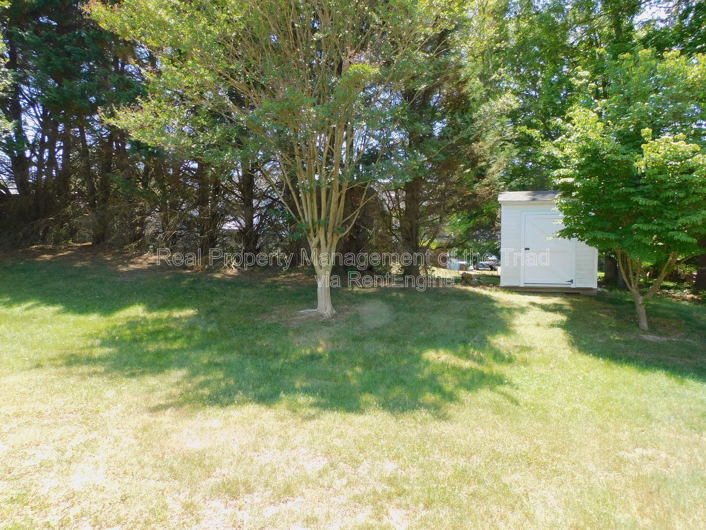 Gallery Image 22