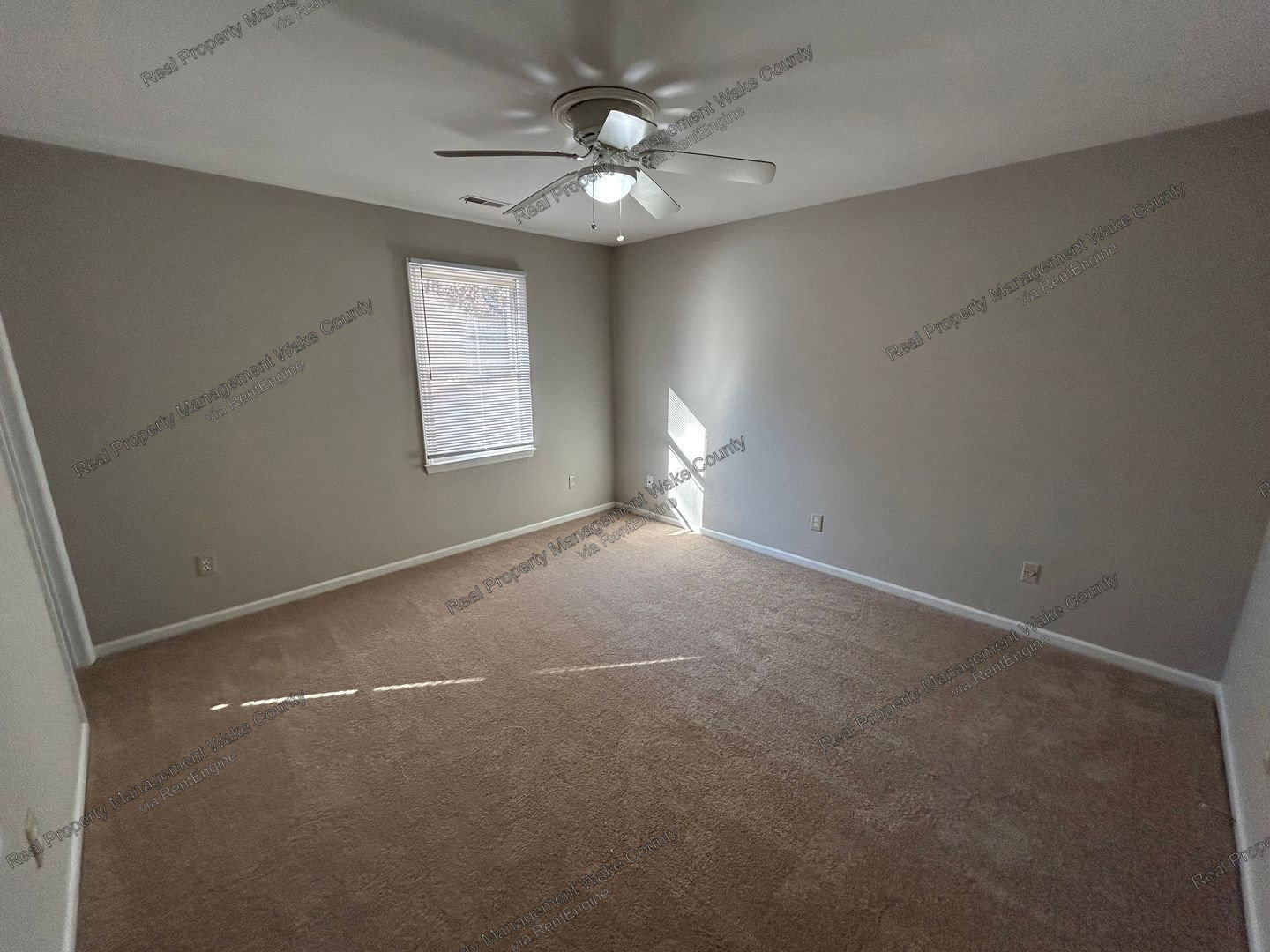 Gallery Image 19
