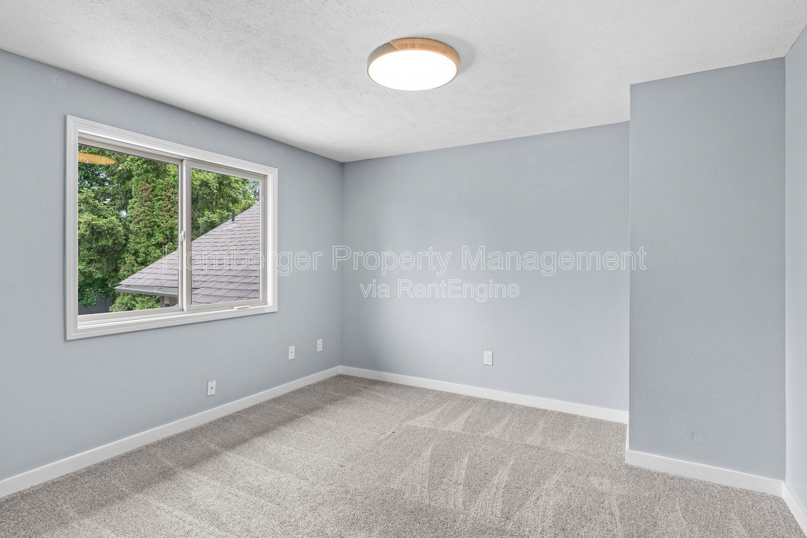 Gallery Image 19