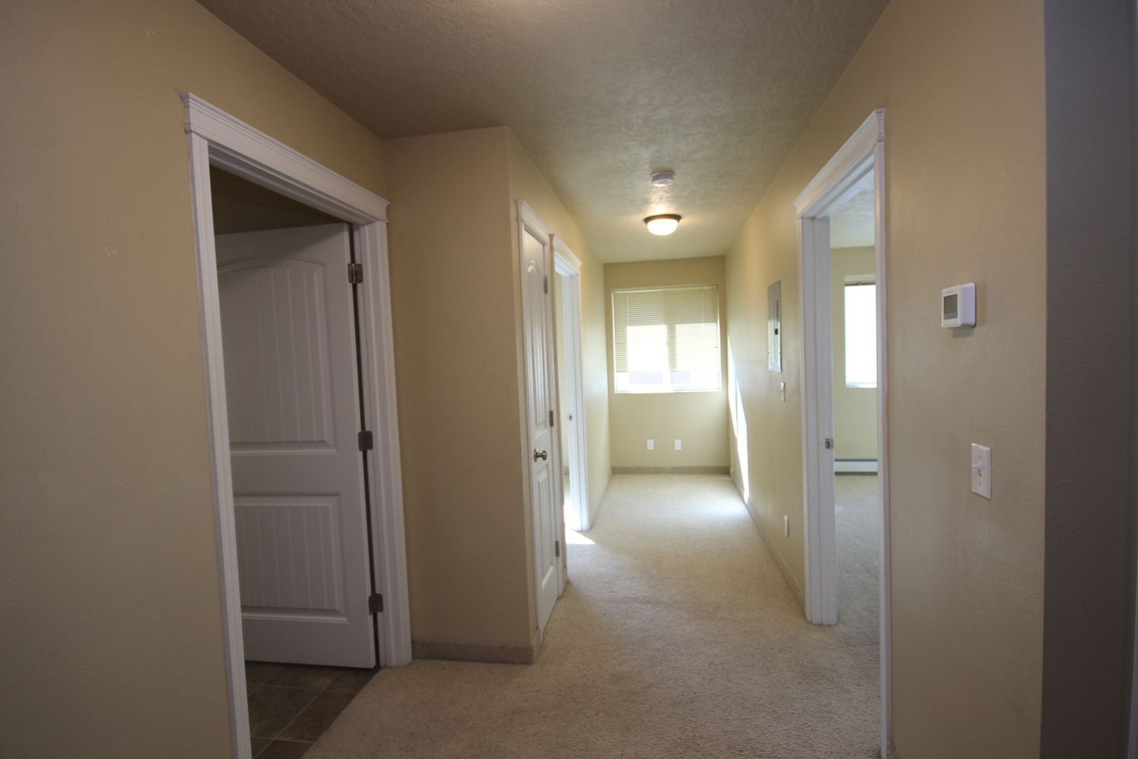 Gallery Image 12