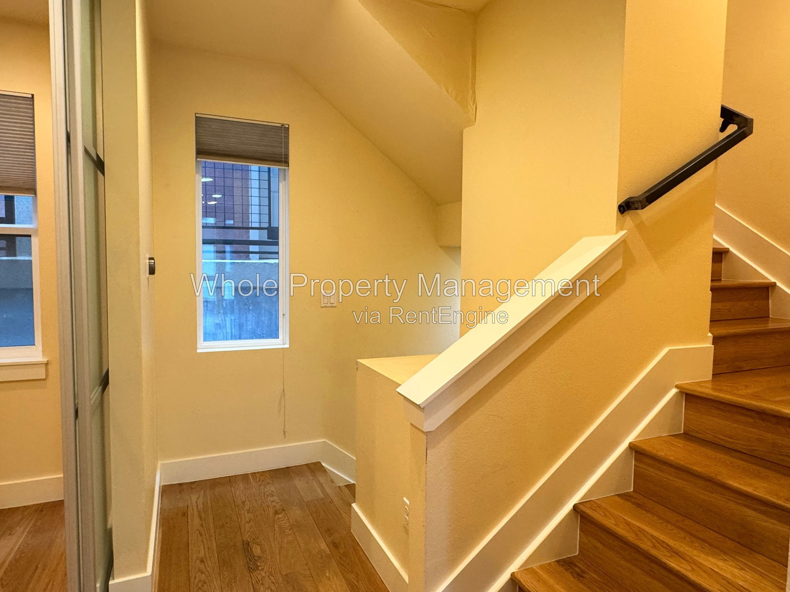 Gallery Image 14