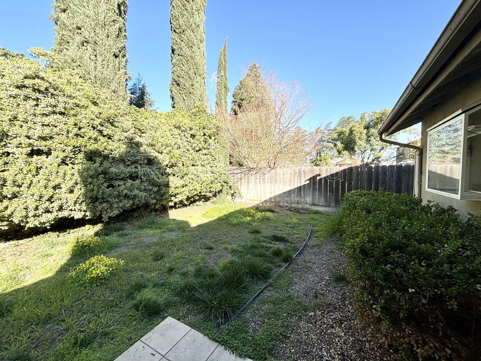 Gallery Image 25