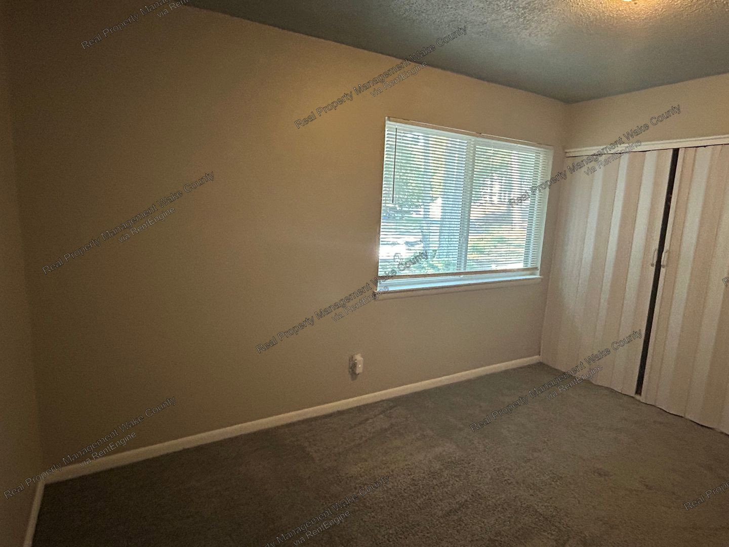Gallery Image 33